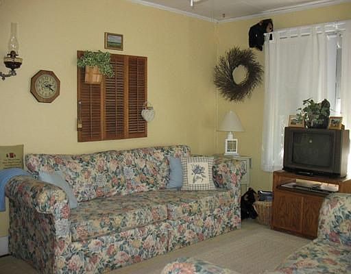 5th image of 16 White Pine Ave