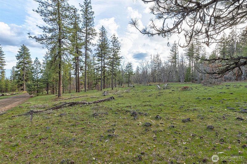 4th image of 0 Lot 15 Greyback Mt Road