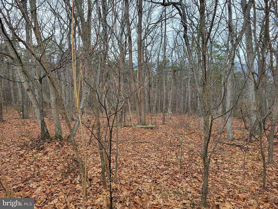 2nd image of LOT 3 N Timber Ridge Rd