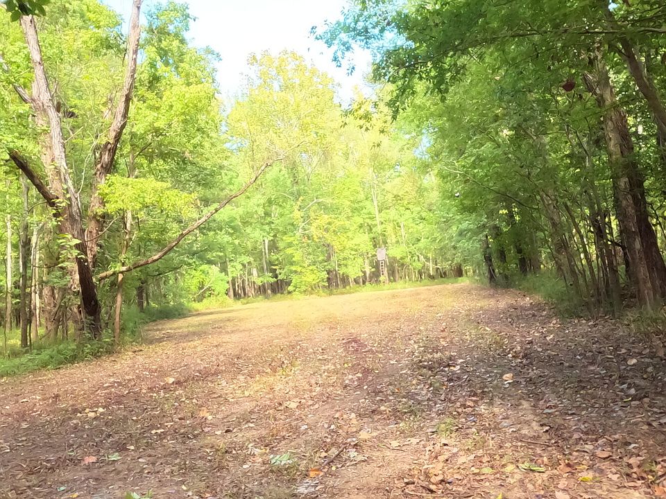 0 Highway 24 E Woodville MS Zillow