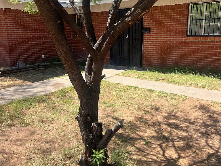 3405 Olympic Ave — Photo 37