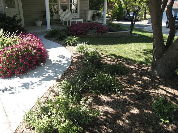 Nicely Landscaped Garden
