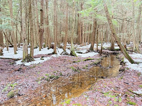 2nd image of Oil Creek Rd