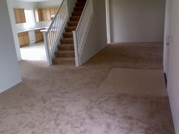 4th image of 32322 Lace Oak Dr