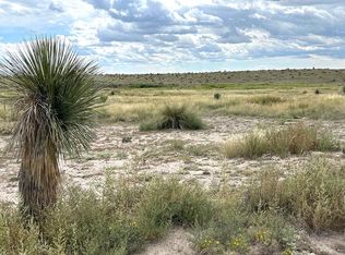 1850 Rabbits Rd, Marfa, TX 79843