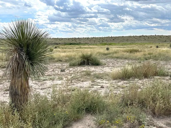 1850 Rabbits Rd, Marfa, TX 79843