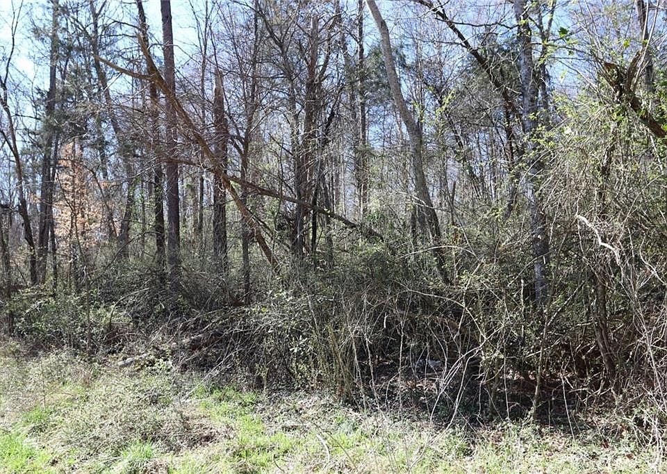 2nd image of 0 Geneva Albright Rd