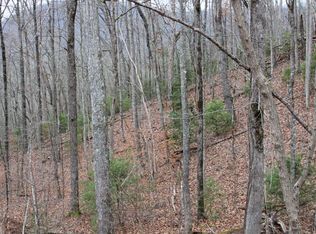 11 Thunder Rd, Hayesville, NC 28904