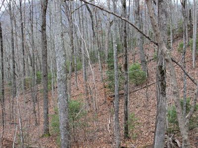 11 Thunder Rd, Hayesville, NC, 28904