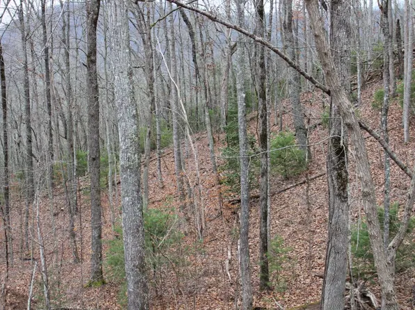 11 Thunder Rd, Hayesville, NC 28904