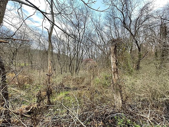 5th image of 0 Schaefer Blvd