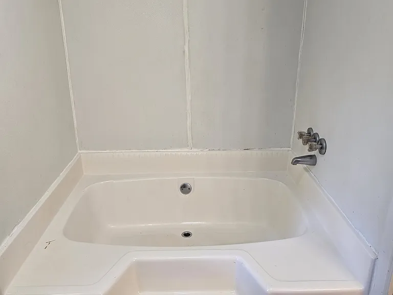 master tub shower