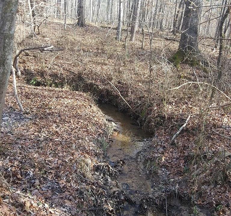 2nd image of 7030 Hickory Dr