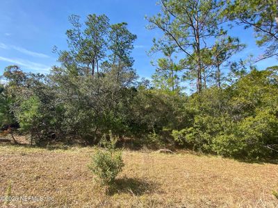 103 DOLPHIN Drive, Georgetown, FL, 32139