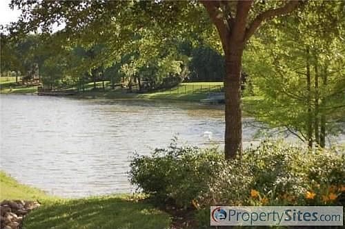 3rd image of 3407 Wellspring Lake Dr