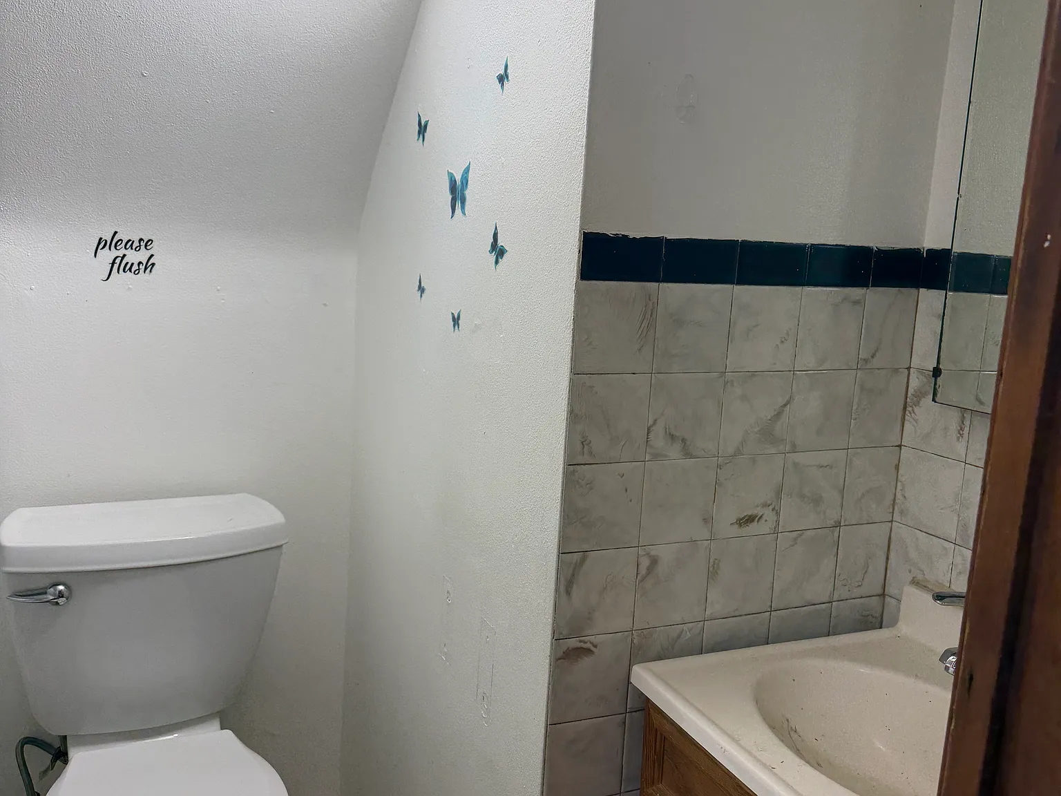1 bed, 800 sqft, $795 — Photo 3