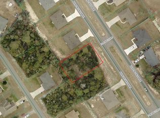 LOT 10 Marion Oaks Mnr LOT 10, Ocala, FL 34473
