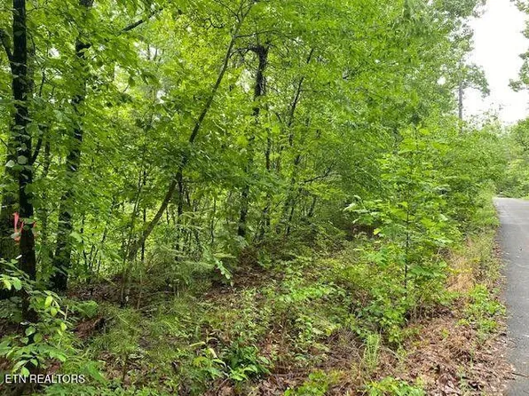 9129 Lynnwood Ln, Rockford, TN 37853