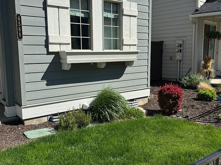 Front Yard