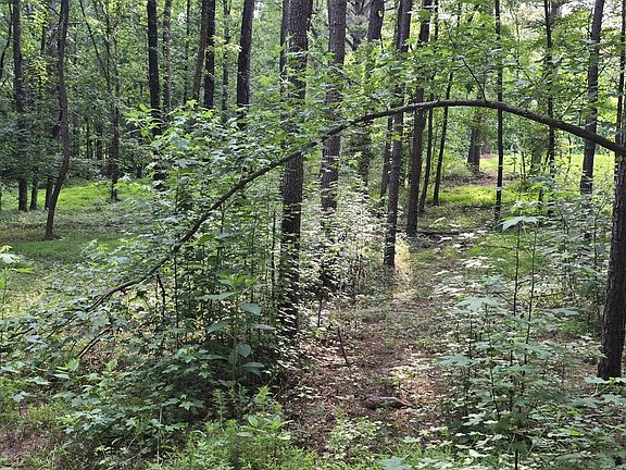 4th image of 0 Honeycutt Rd