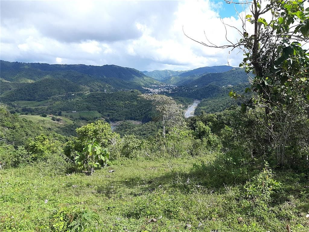 Carr 774 Km #1.0, Comerio, PR 00782 | MLS #PR9103038 | Zillow