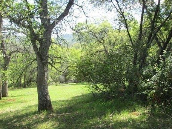 4th image of 5314 Dogtown Rd