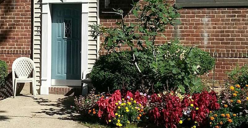 1st image of 9135 153rd Ave #2