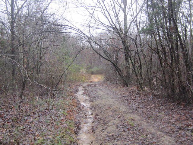 2nd image of Parker Rd