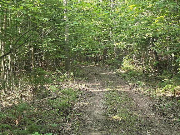 3rd image of PARCEL 9 Harley Haven Ln