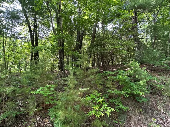 LOT 31 Peak Trl Lot 31, Murphy, NC 28906