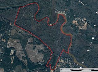 0 Morgan Cemetery Rd, Clyo, GA 31303