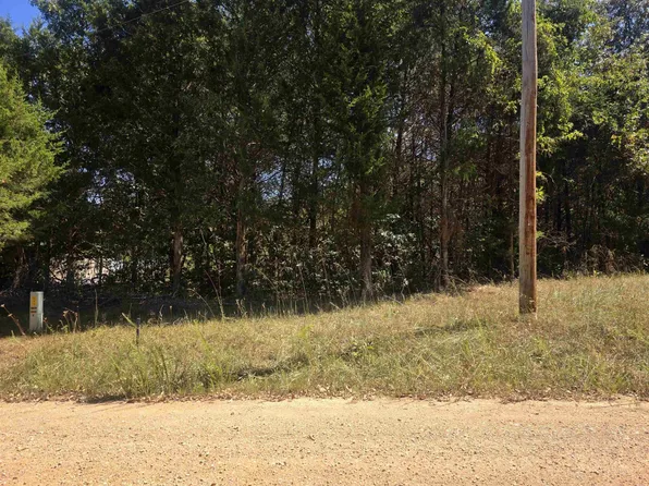 L31-B1 Adam Dr, Hardy, AR 72542