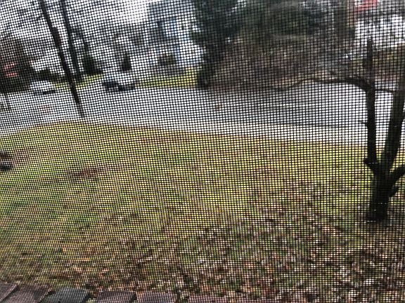 4th image of 4 Walters Ave #1