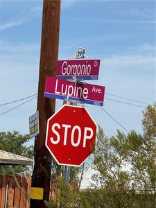 0 Lupine Ave Lot 144-29, Twentynine Palms, CA, 92277