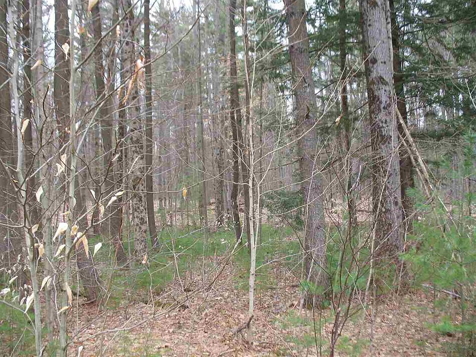 2nd image of 219 Greene Rd