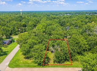 0 Deep Woods Ln, Livingston, TX 77351