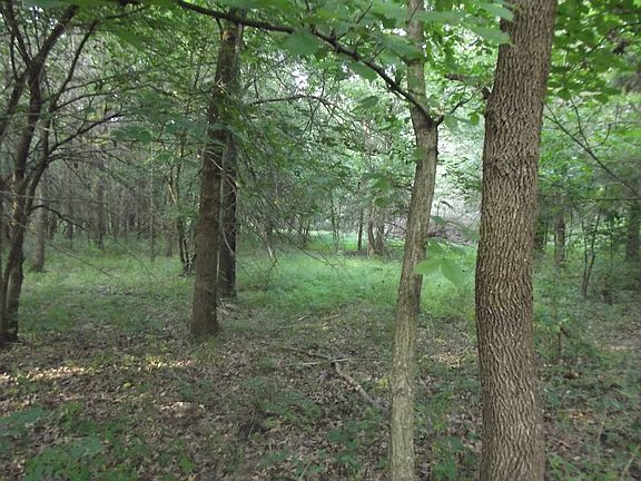 2nd image of 34524 Sweet Pea Ln