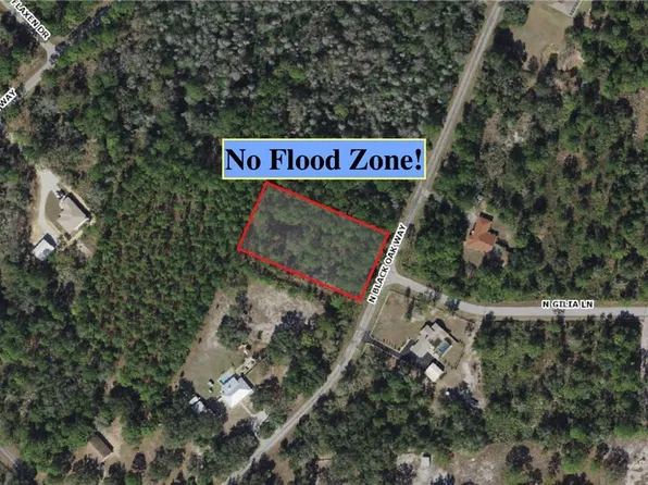 9088 N Black Oak Way, Crystal River, FL 34428