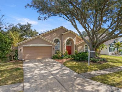 3979 Jenita Dr, Palm Harbor, FL, 34685