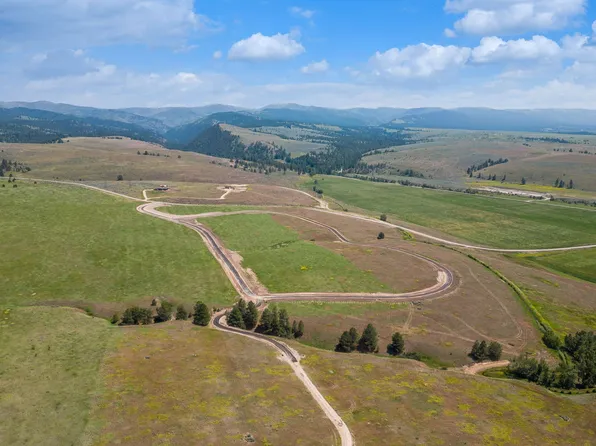 1153 Aspen Ridge Trl, Florence, MT 59833