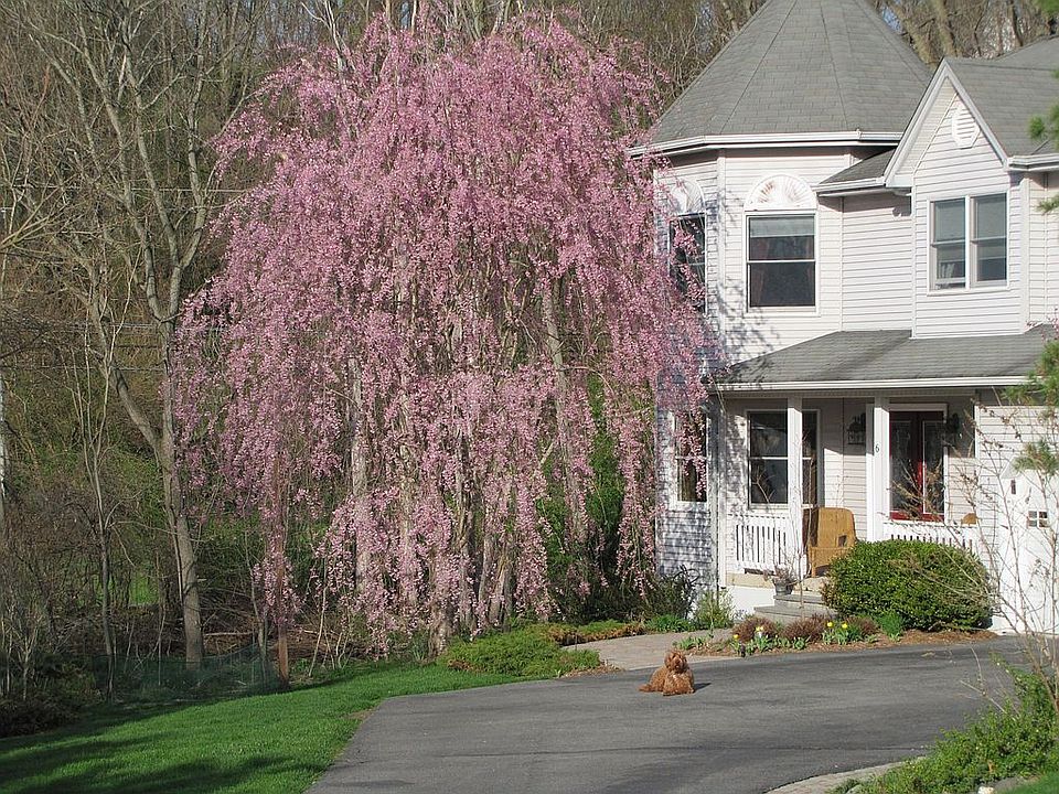 1st image of 6 Georges Ct
