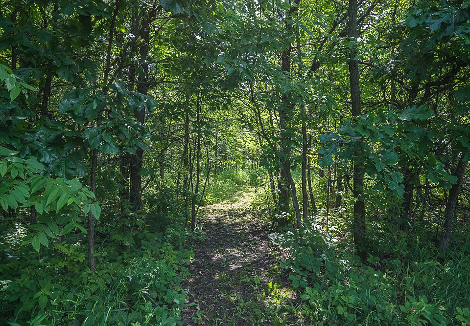 2nd image of Tbd 458th Ln