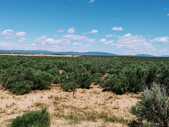 Beauty all directions