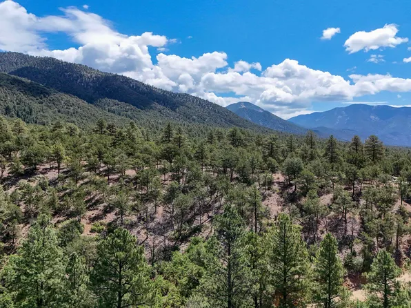Tract B across 265 Gallina Canyon Rd, Valdez, NM 87580