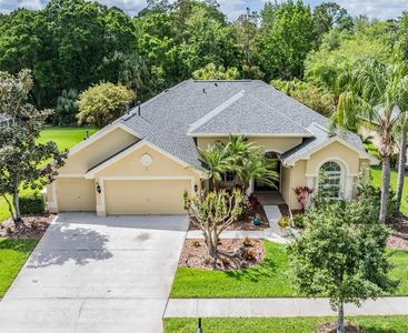 2743 Blue Springs Pl, Zephyrhills, FL, 33544