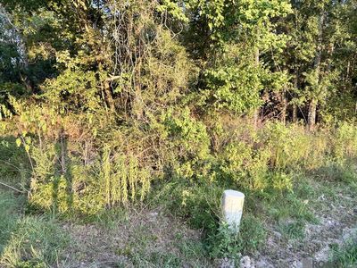Tba 1 C La Hwy #431, Prairieville, LA, 70769