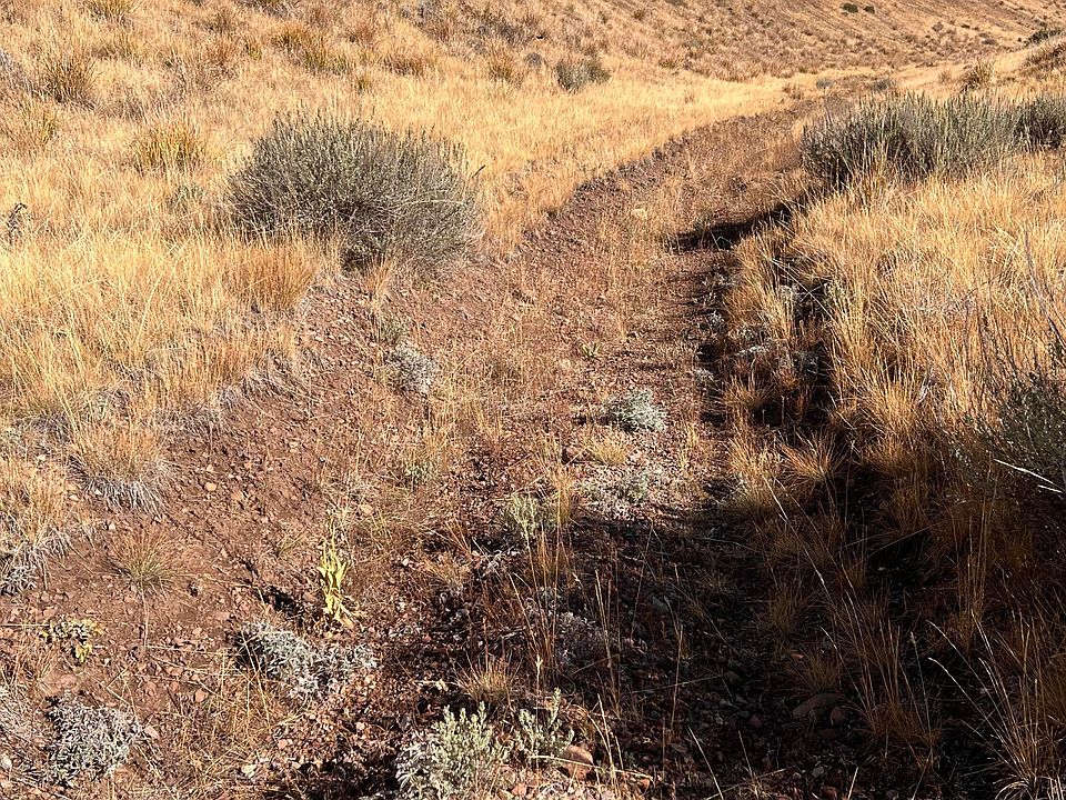 16th image of 270 Greenhorn Gulch Rd