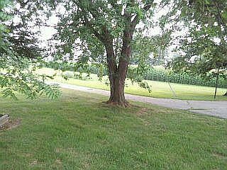 Front yard
