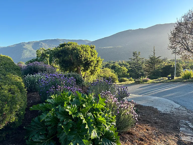 Laureles Grade Rd — Photo 25