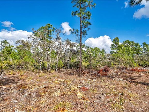 5th image of 4000 Lomonico Rd